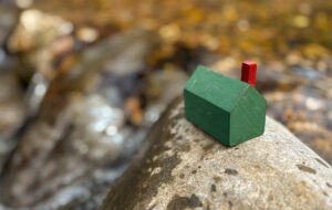 Read more about the article Revealing My Interior World