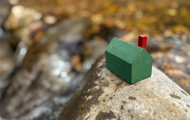 Read more about the article Revealing My Interior World