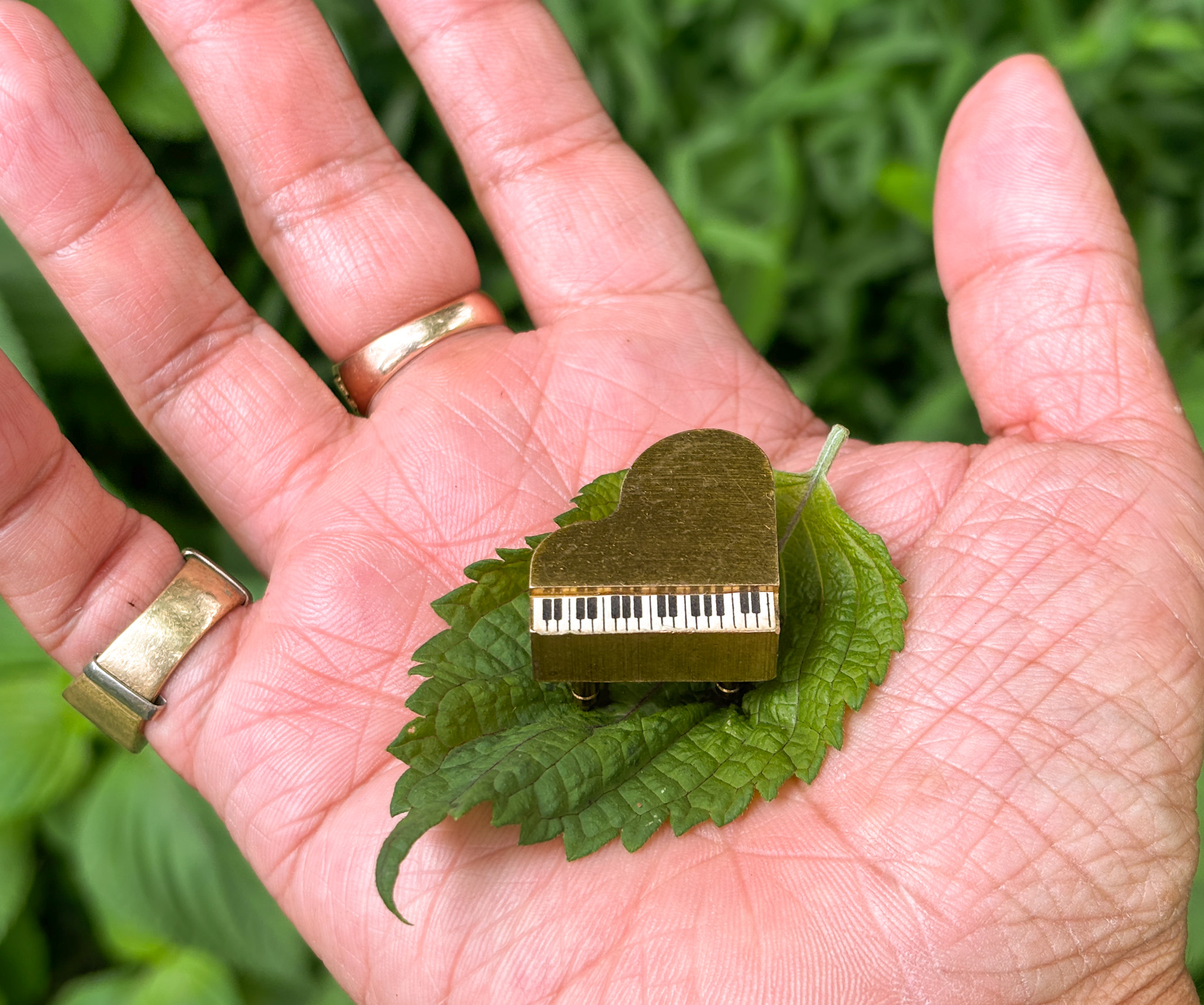 Read more about the article Longing and Devotion in these Troubled Times