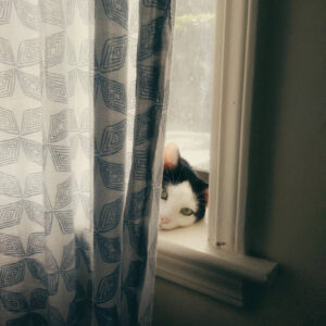 Read more about the article I Had a Steinway Once