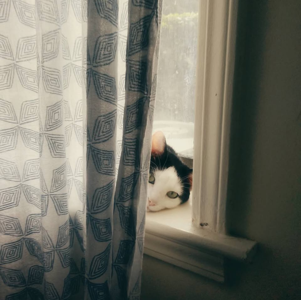 Read more about the article I Had a Steinway Once