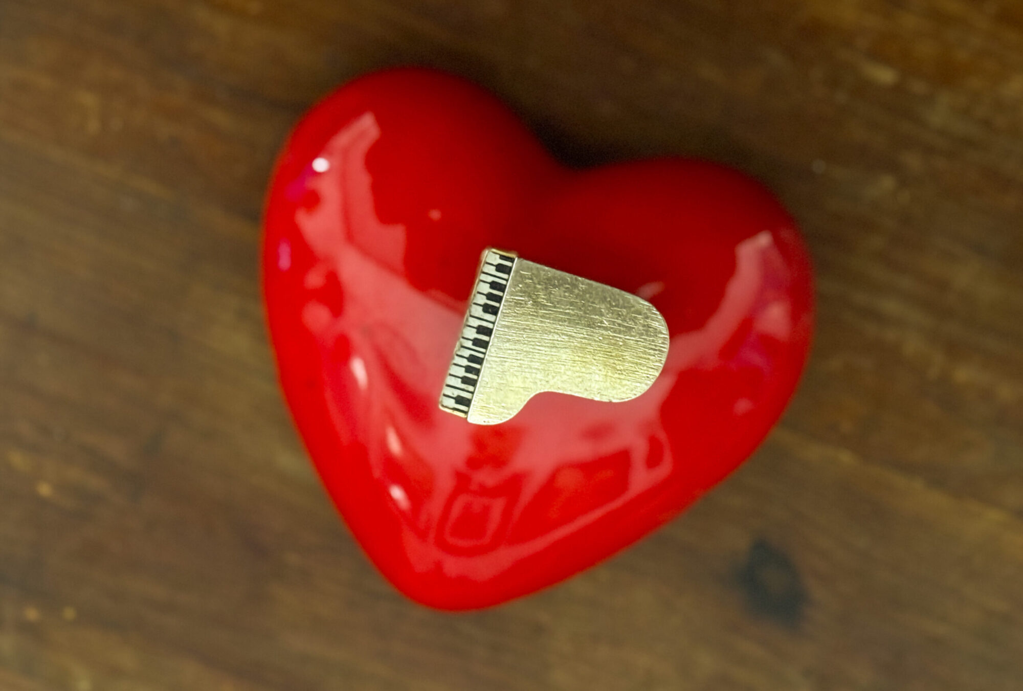 Read more about the article Windows to the Inside