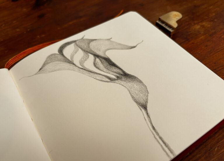 Read more about the article Abstract Flower: Lightness and Stark Contrast