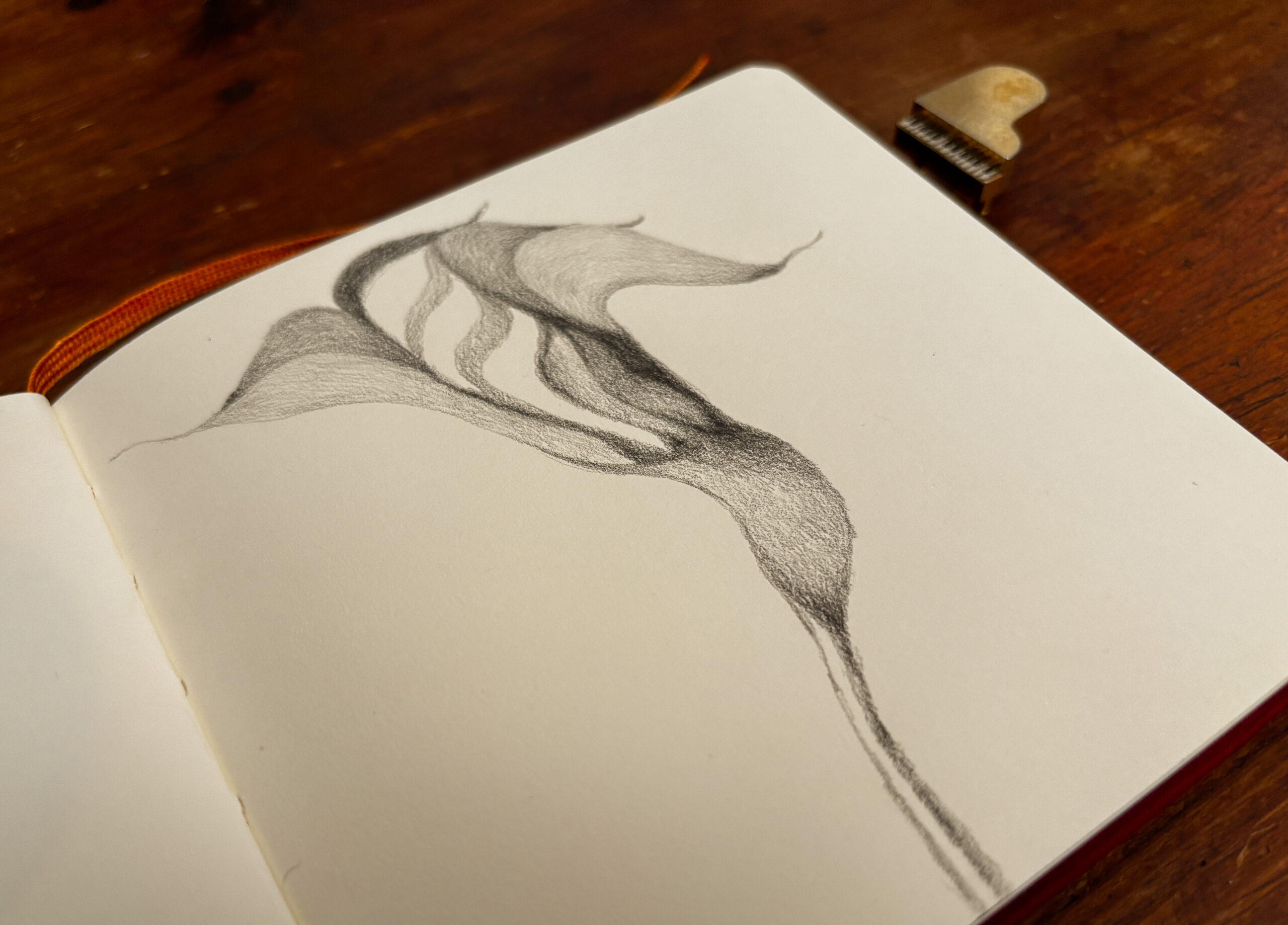 Read more about the article Abstract Flower: Lightness and Stark Contrast